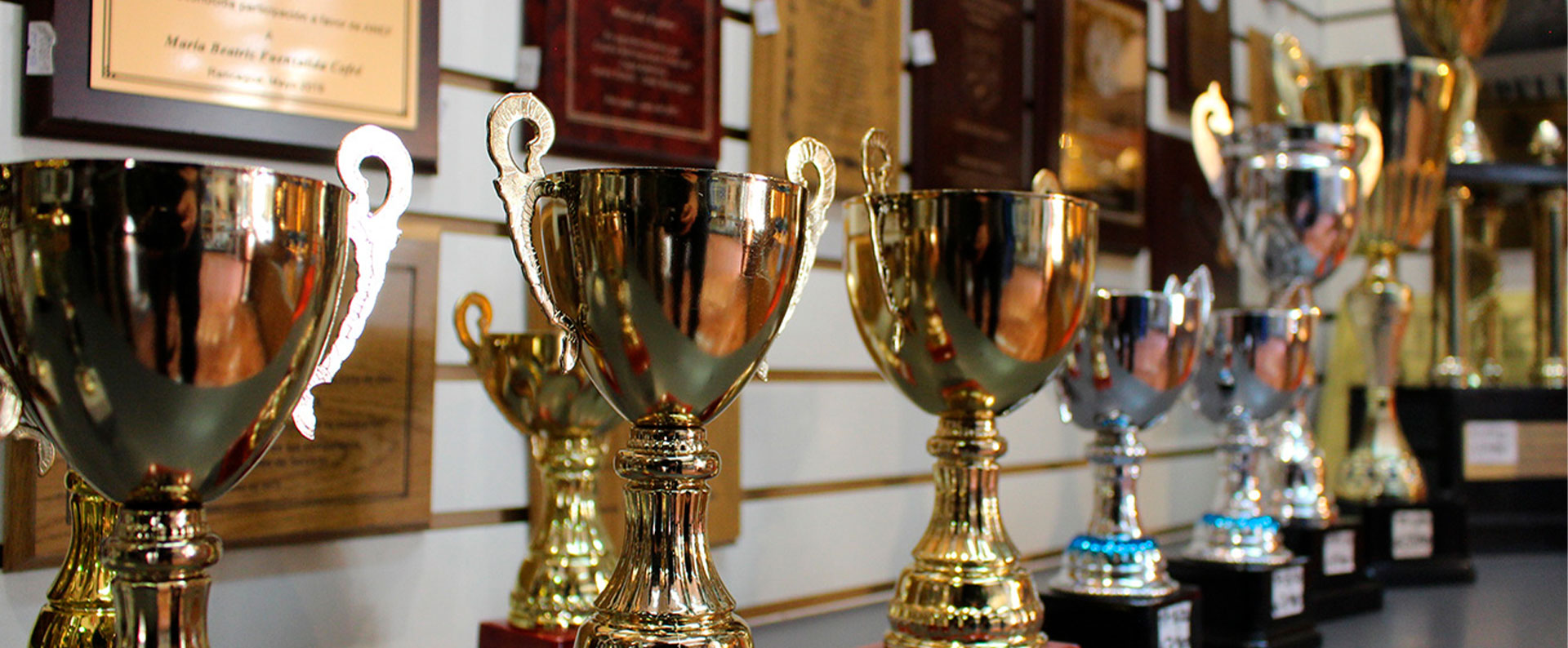 Copas, trofeos y regalos en Rancagua - Prixmarc Trofeos y Regalos